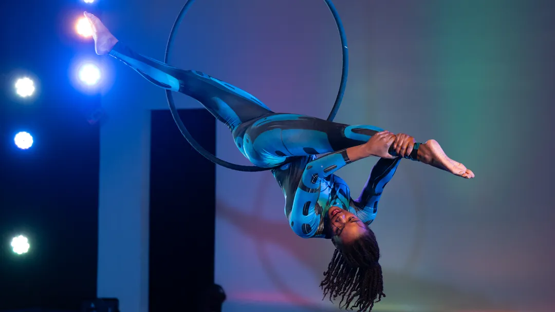 Aerialists